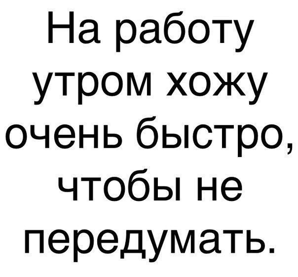 Анекдоты дня