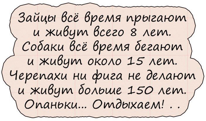 Анекдоты