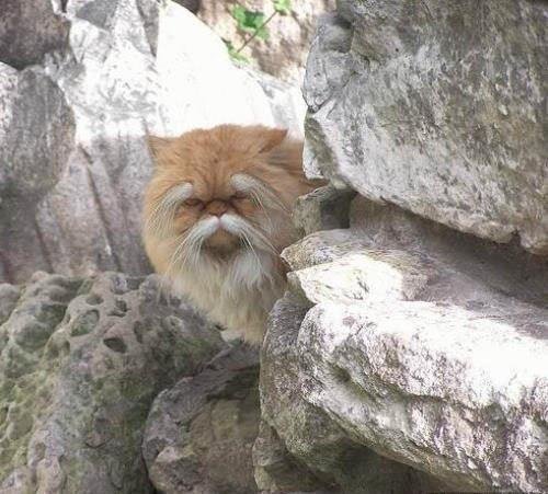 Анекдоты дня