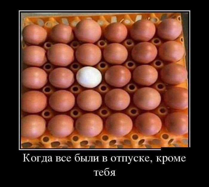 Я смеялся до слез!