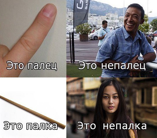 Анекдоты дня