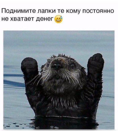 Анекдоты