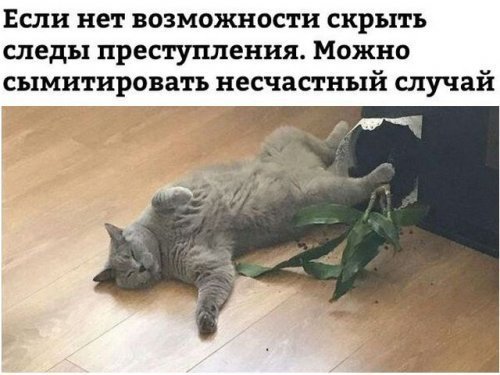 Анекдоты дня