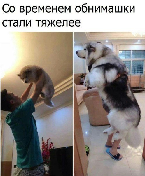 Очень смешно!