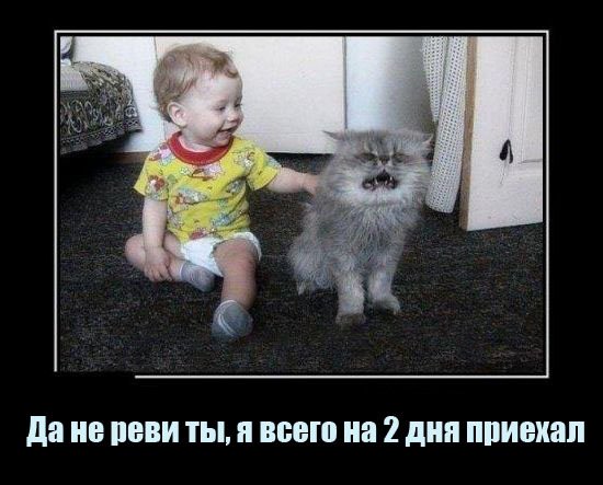 Смешные анекдоты