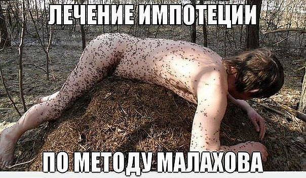 Анекдоты дня