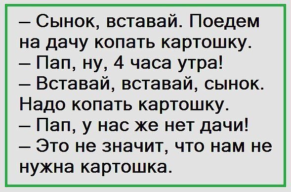 Анекдоты дня