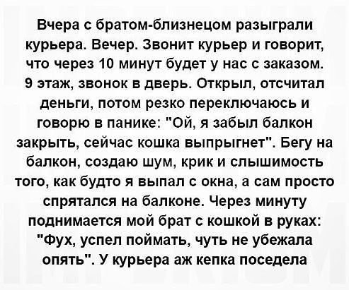 Анекдоты дня