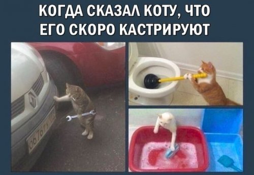 Анекдоты дня