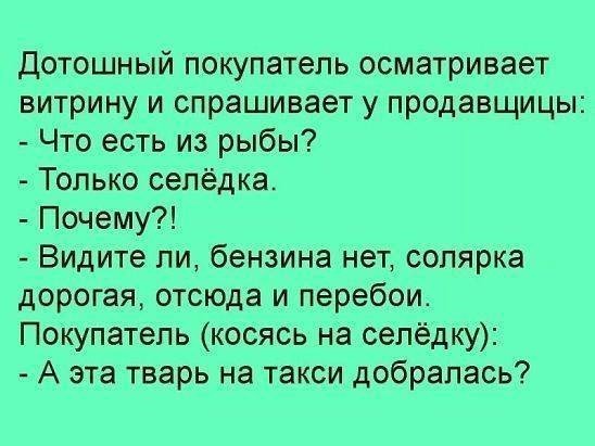 Лучшие анекдоты