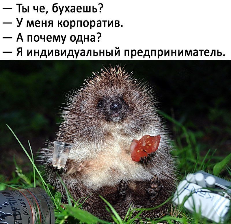 Смешные анекдоты