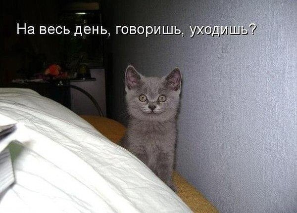 Очень смешно!