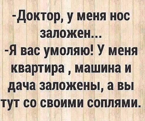 Анекдоты дня