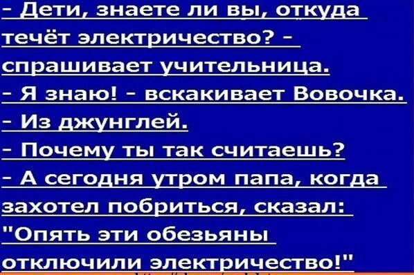 Анекдоты дня