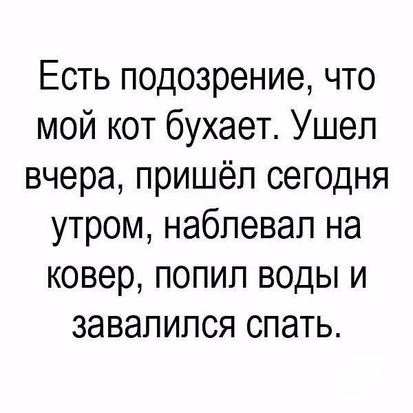 Я смеялся до слез!
