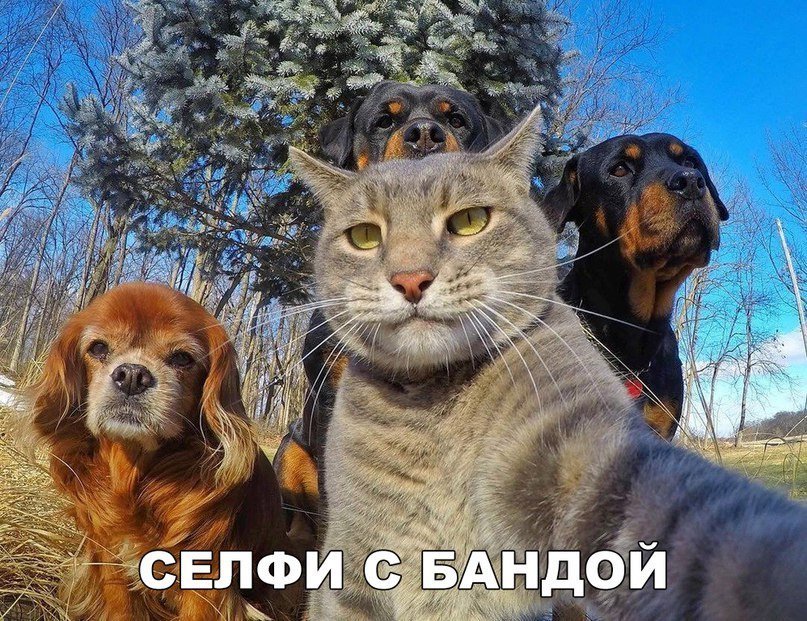 Отличные анекдоты