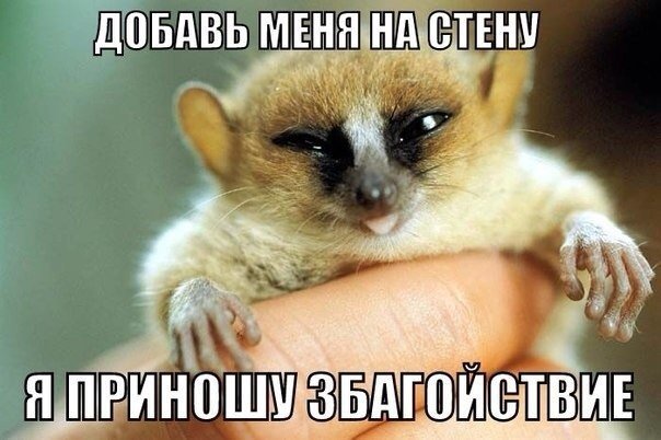 Отличные анекдоты