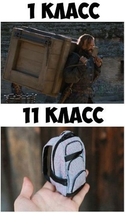 Анекдоты дня