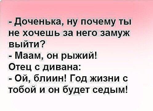 Анекдоты дня