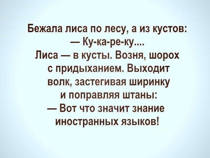 Анекдоты дня