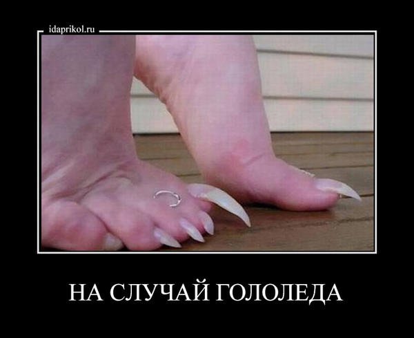 Смешные анекдоты