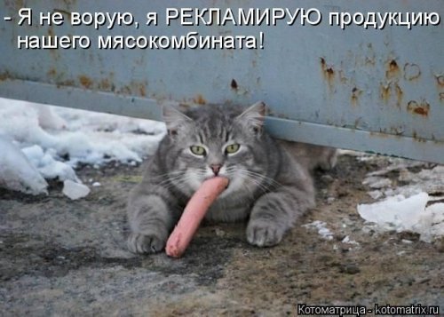 Анекдоты дня