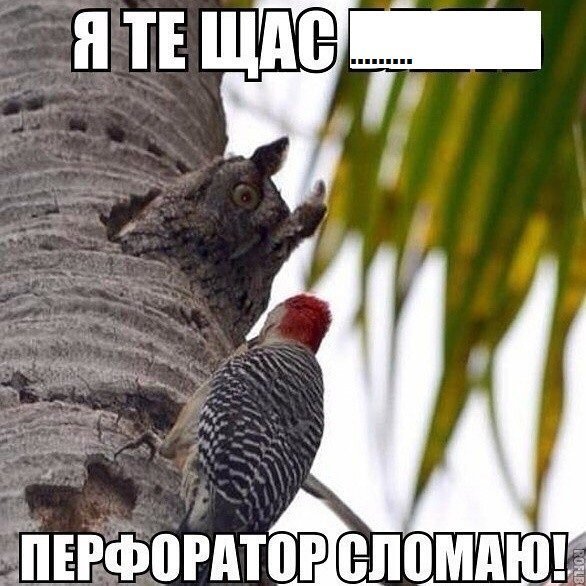 Я смеялся до слез!