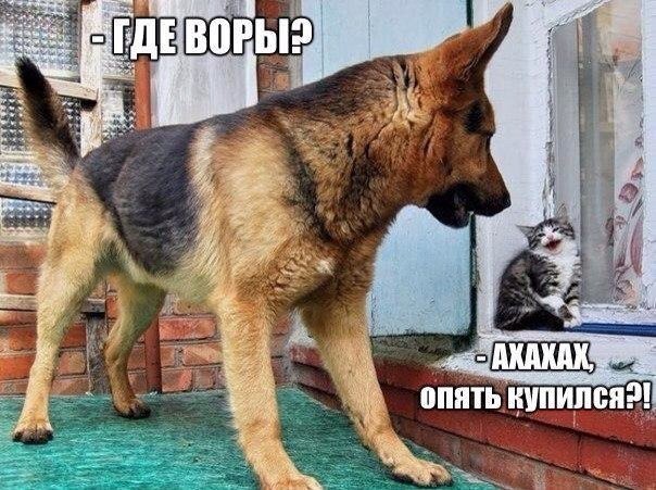 Хорошие анекдоты