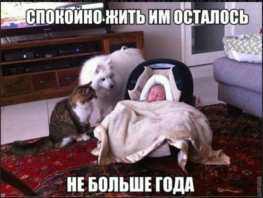 Анекдоты