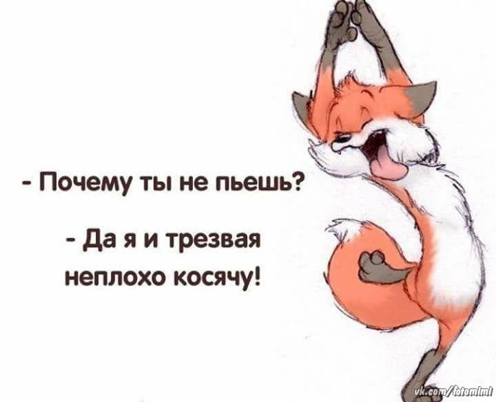Лучшие анекдоты