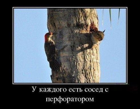 Смешные анекдоты