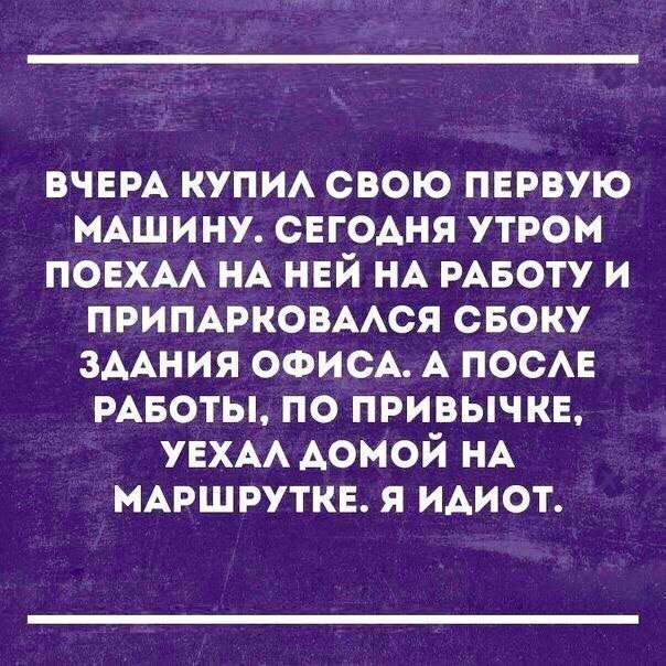 Анекдоты дня