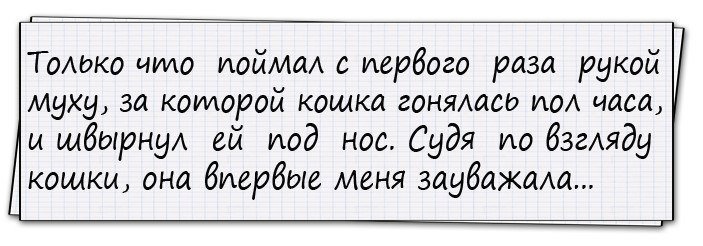 Анекдоты дня