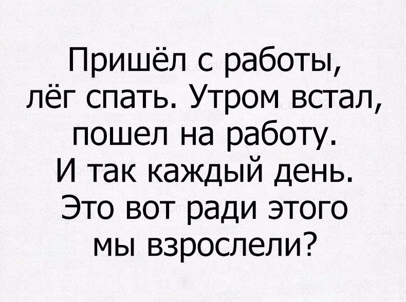 Анекдоты дня