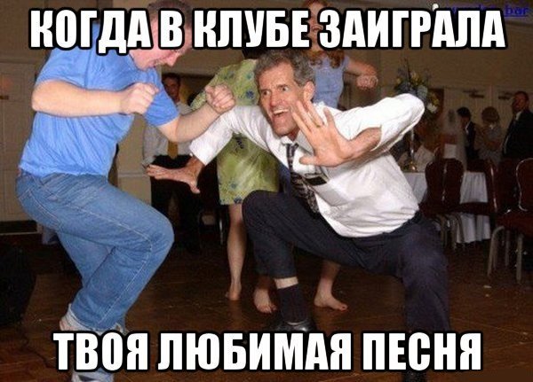 Анекдоты дня