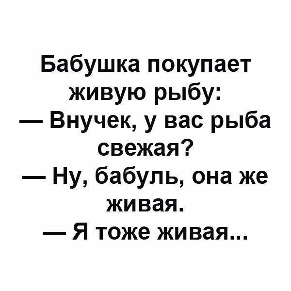 Анекдоты, поднимающие настроение в начале недели
