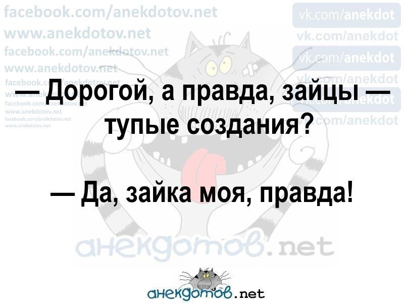 Анекдоты