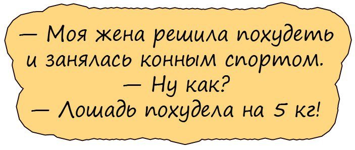 Анекдоты дня