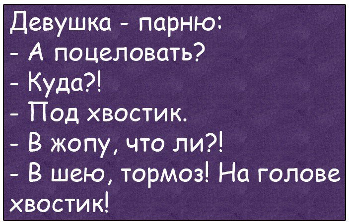 Анекдоты дня