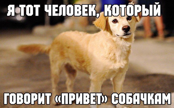 Анекдоты дня
