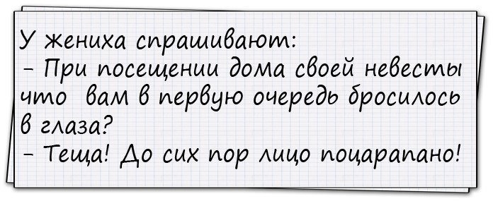 Анекдоты дня
