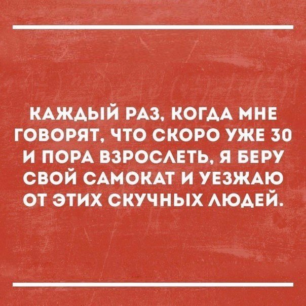 Анекдоты дня