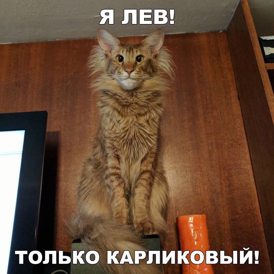 Анекдоты дня