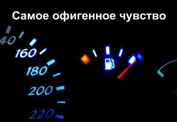 Анекдоты дня