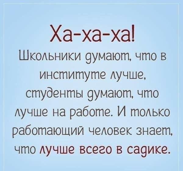 Анекдоты дня