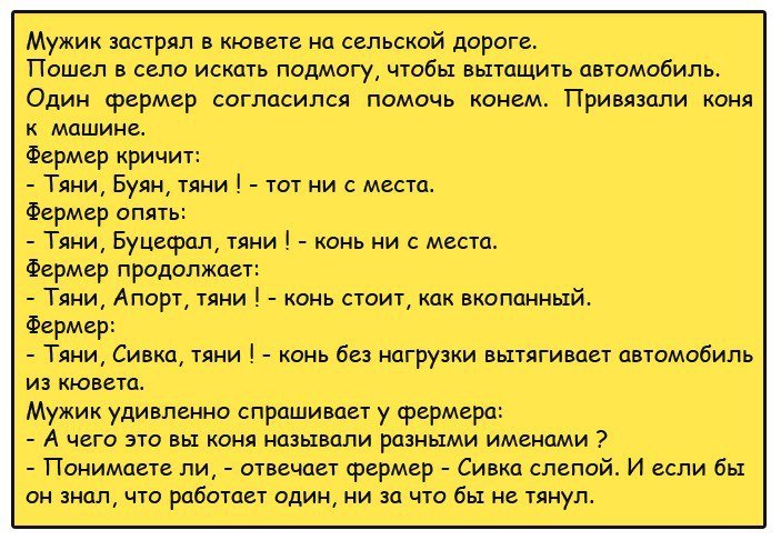 Лучшие анекдоты