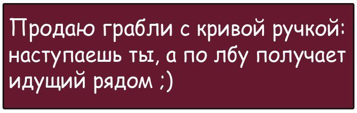 Анекдоты дня