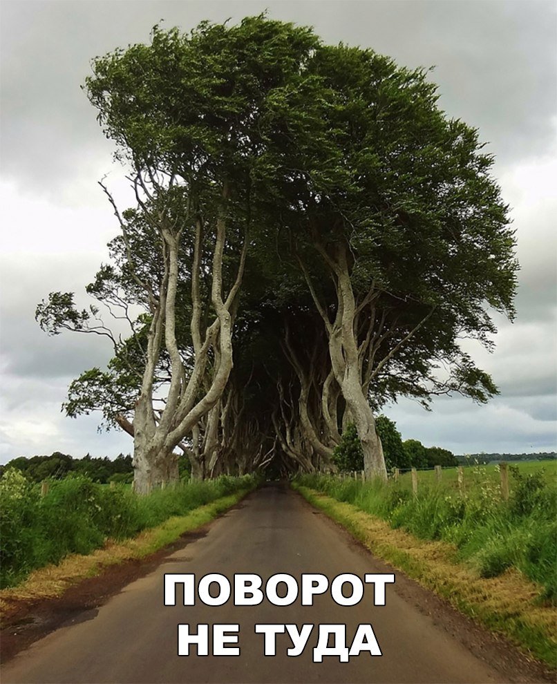 Отличные анекдоты