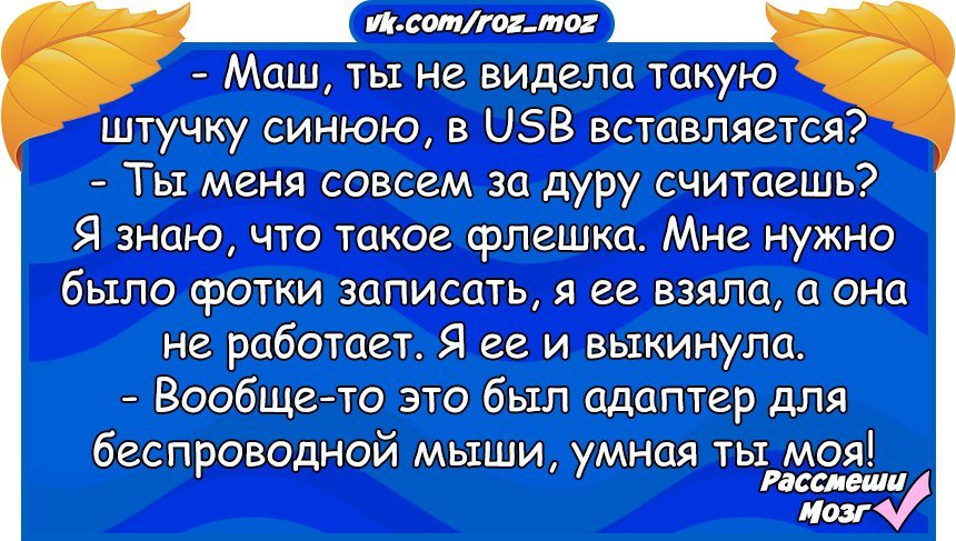 Анекдоты дня