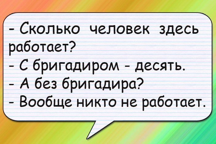 Анекдоты дня
